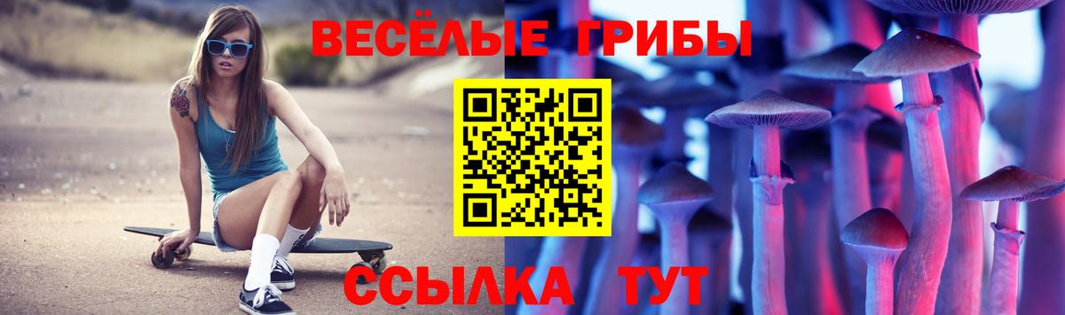 Шадринск  Галлюциногенные грибы мухоморы  Вход с VPN 